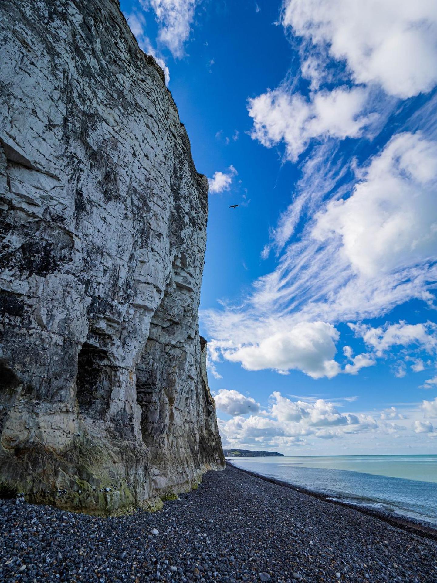 Le Voilier Ensoleille - Proximite Plage & Gare - Confort & Tranquillit Dieppe Esterno foto